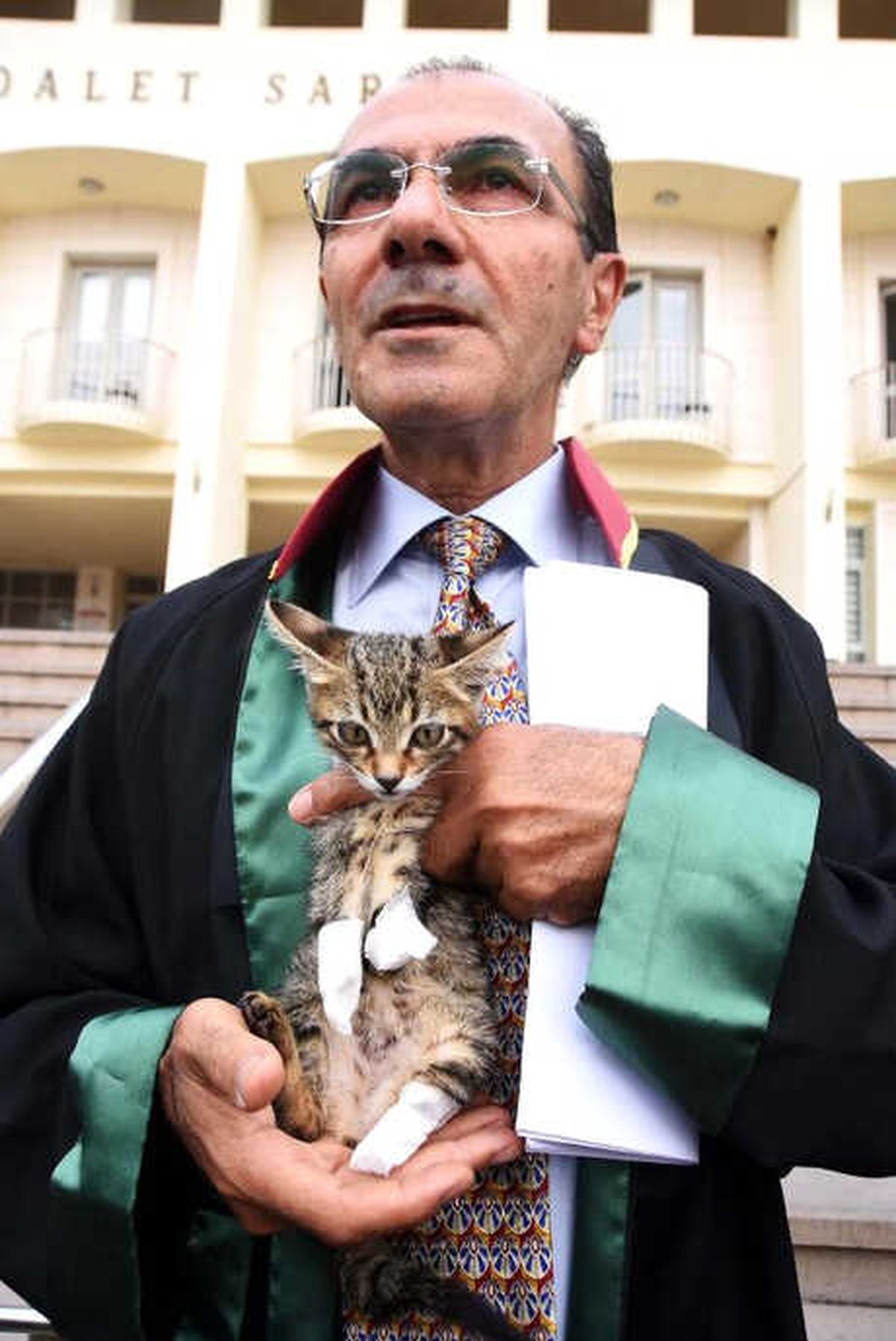 Bodrum\'da Hayvanseverlerden Kötü Muameleye Tepki