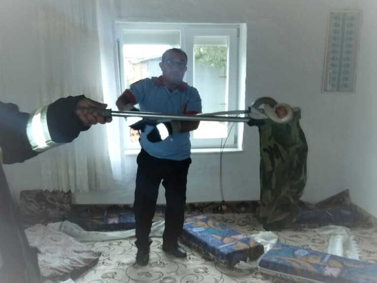 Evin Oturma Odasına Giren Yılan Korkuttu
