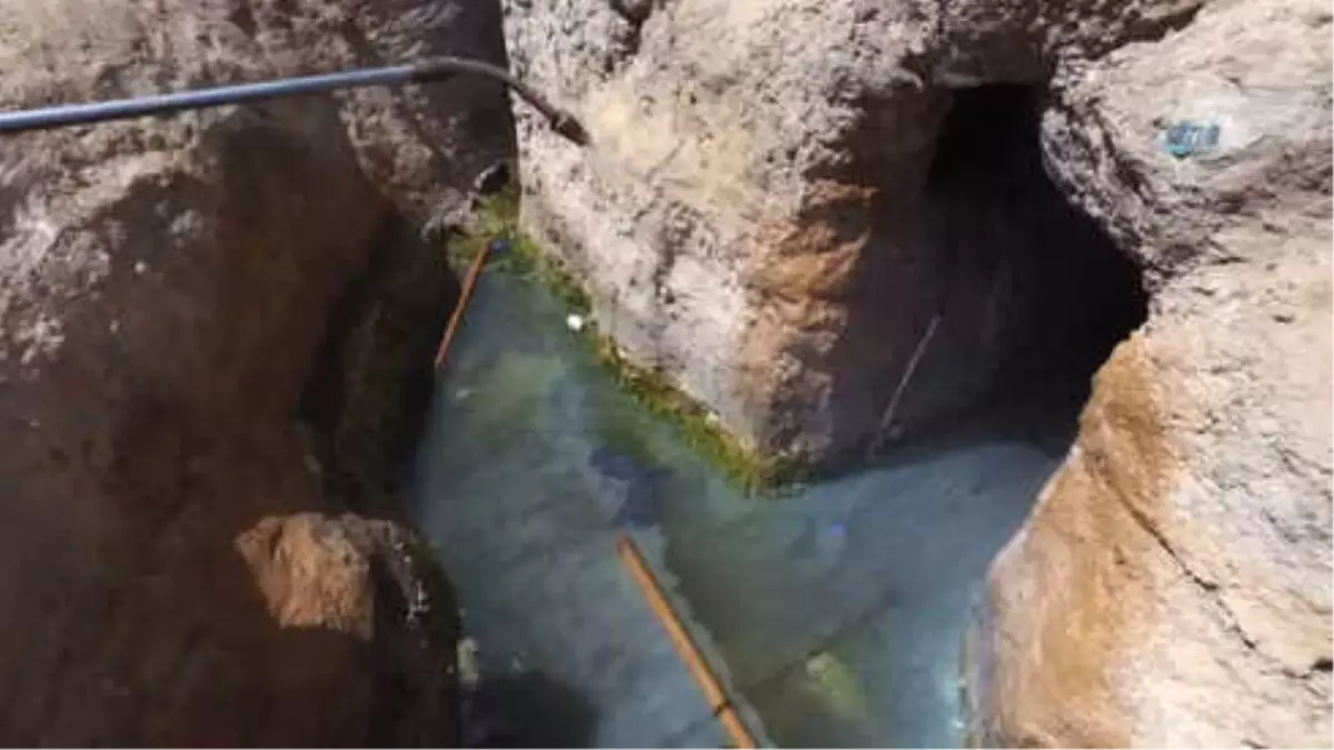 Gaziantep\'te Sinek ve Haşereye Karşı 120 Kişilik İlaçlama Ekibi