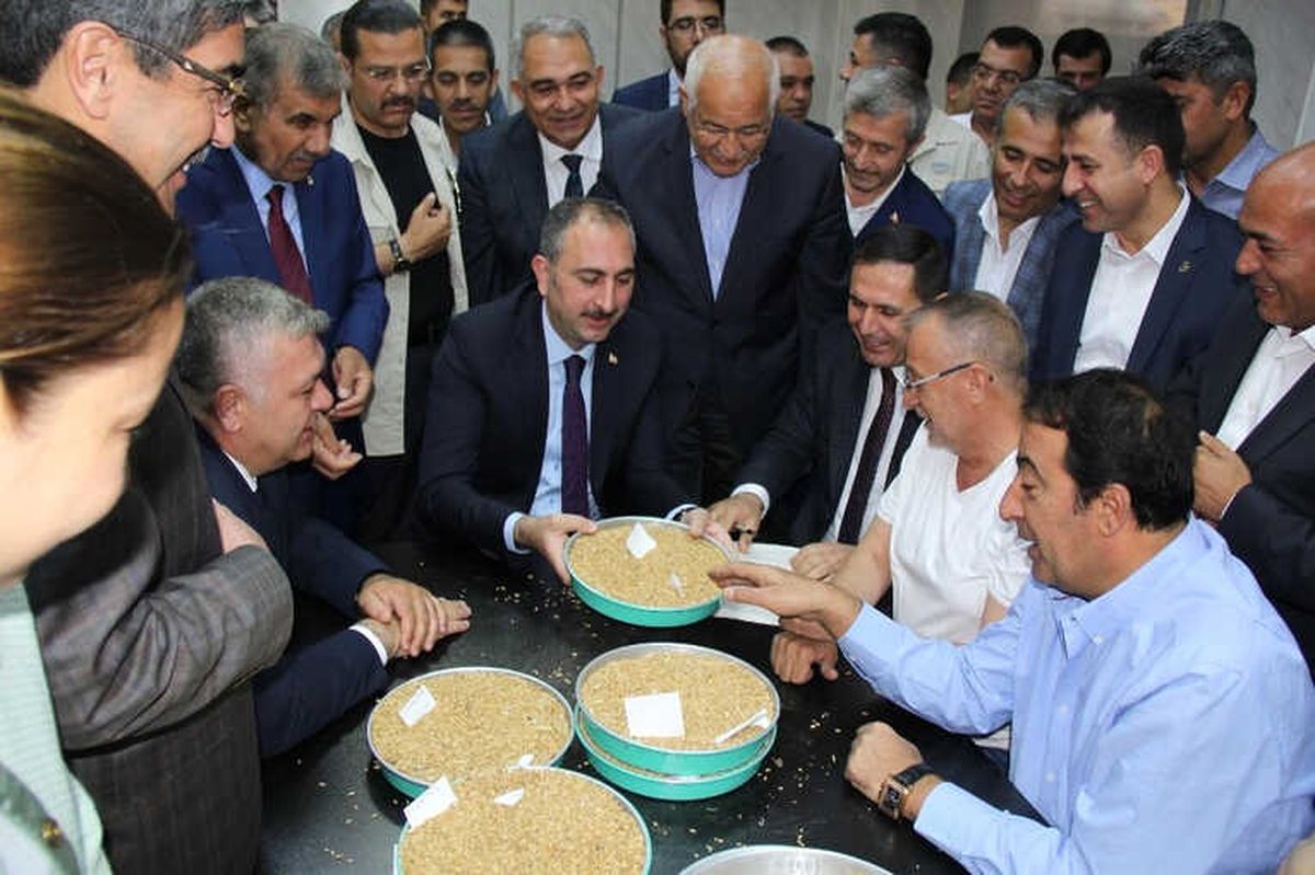 Günün İlk Buğday Satışı Bakan Gül\'den