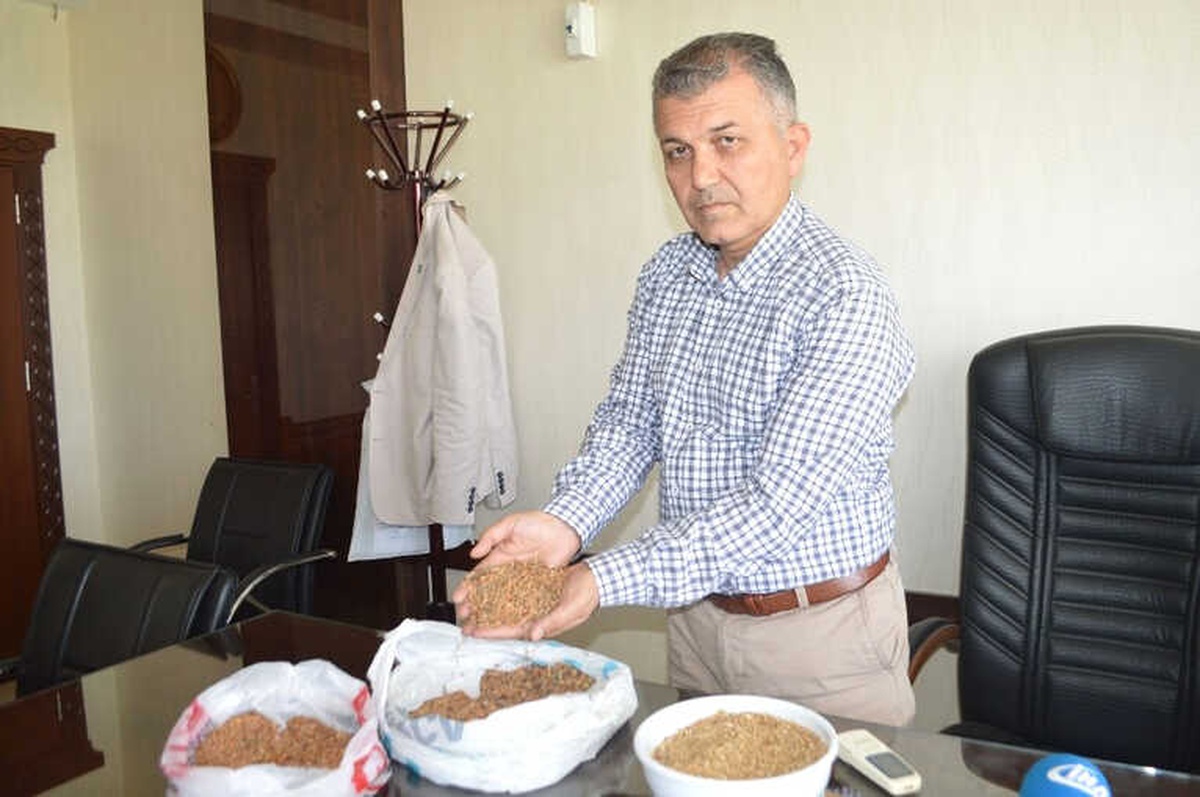 Kuraklık ve Zamansız Yağış Verimi Düşürdü