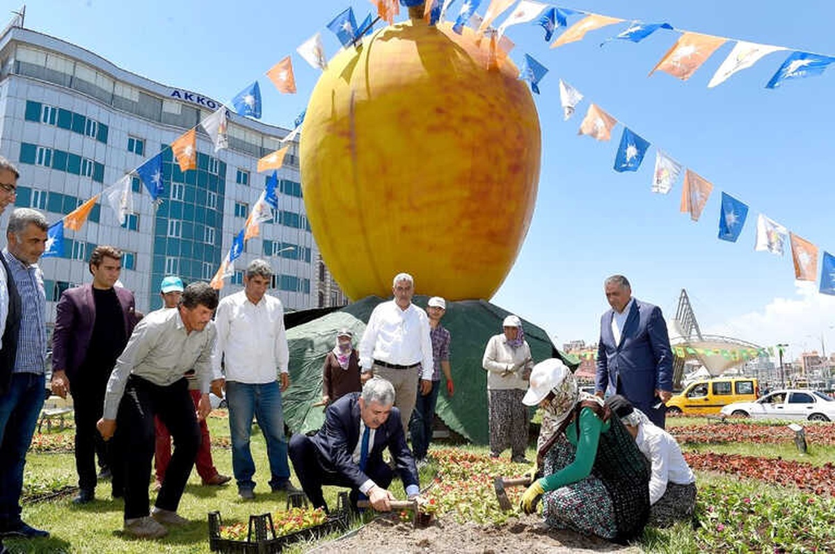 Malatya Rengarenk Çiçeğe Büründü