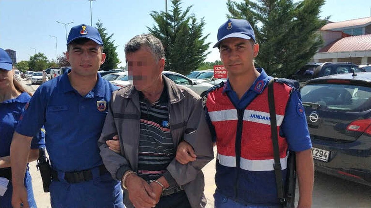 Ormanda Kaçak Odun Kesmeye 8 Ay Hapis