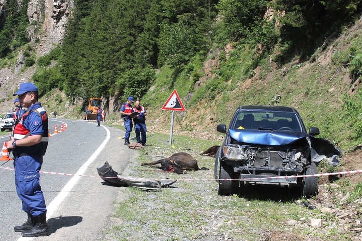 Rize\'de Kamyonet Yol Kenarında Hayvan Otlatan Anne ile Kızına Çarptı: 1 Ölü, 1 Yaralı