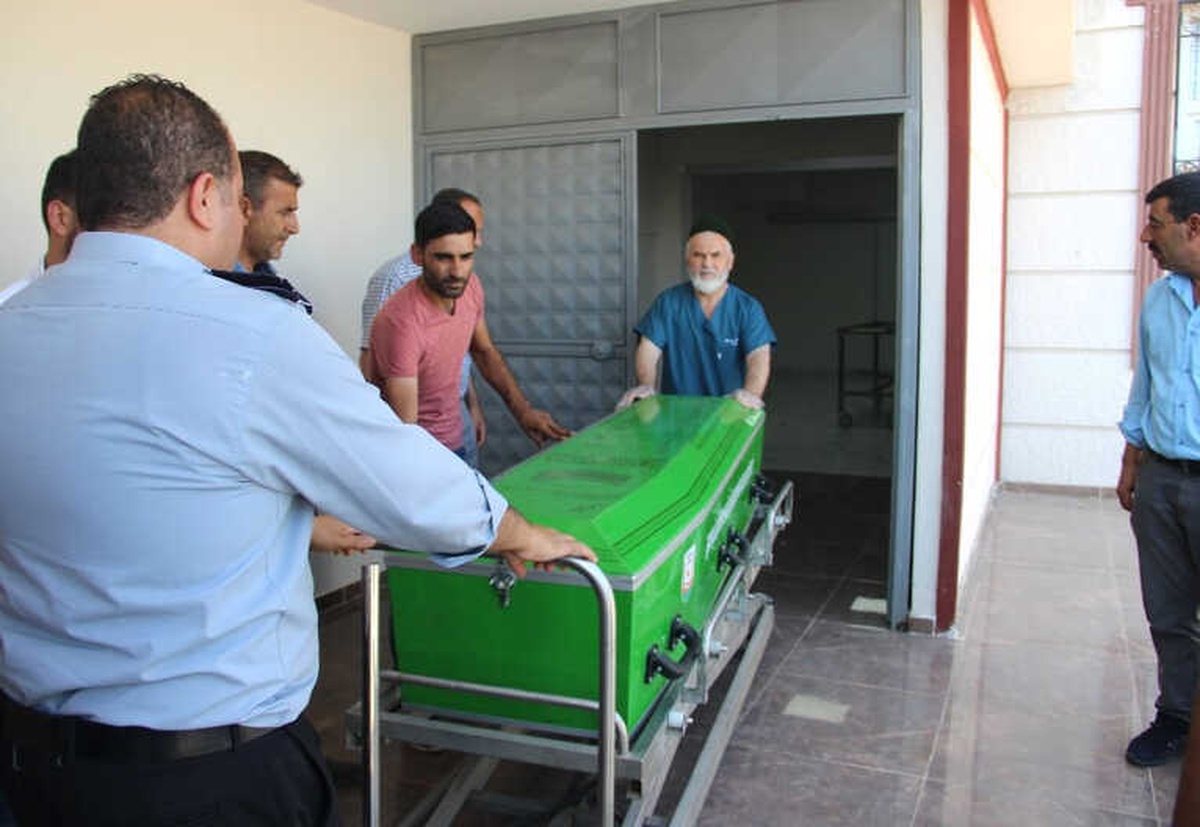 Yılanın Isırdığı Kadın Hayatını Kaybetti