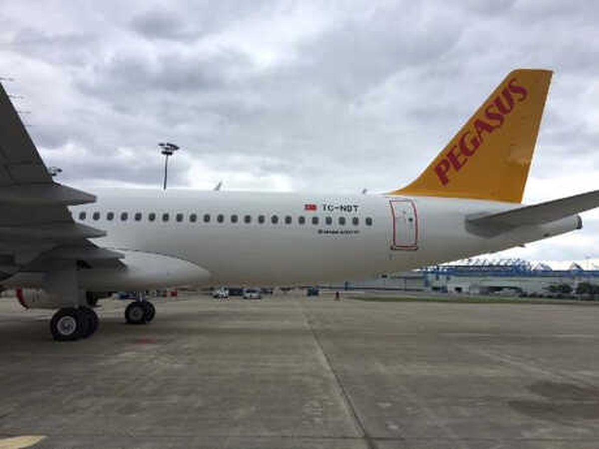 Ahsen Sena, Pegasus Filosuna Katıldı