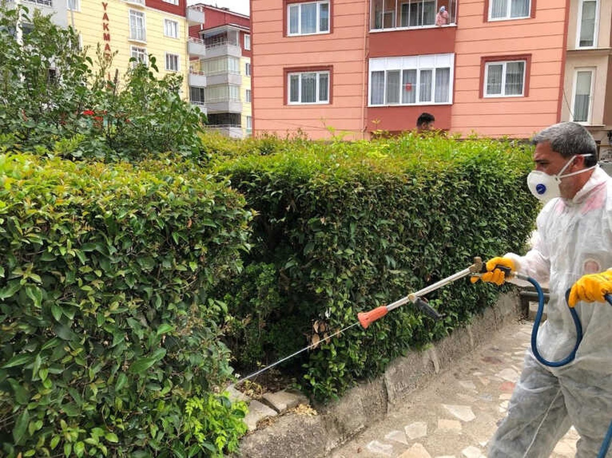 Bilecik\'te Park ve Bahçelere Kapsamlı İlaçlama