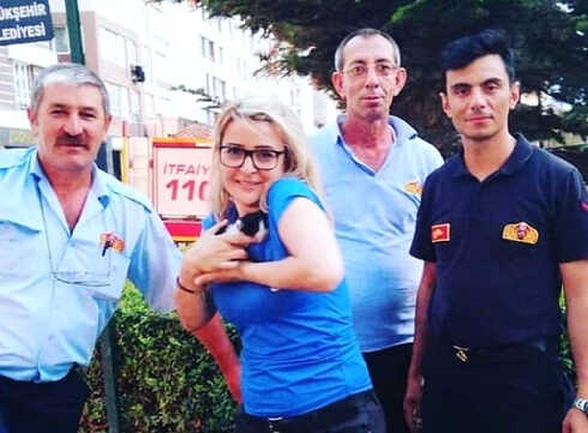 Çalılıklara Sıkışan Minik Kediyi İtfaiye Kurtardı