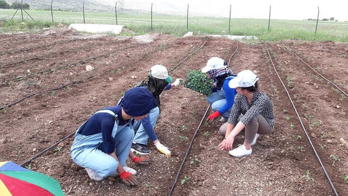 Gercüş\'te Modern Yöntemlerle Sebze Yetiştiriciliği