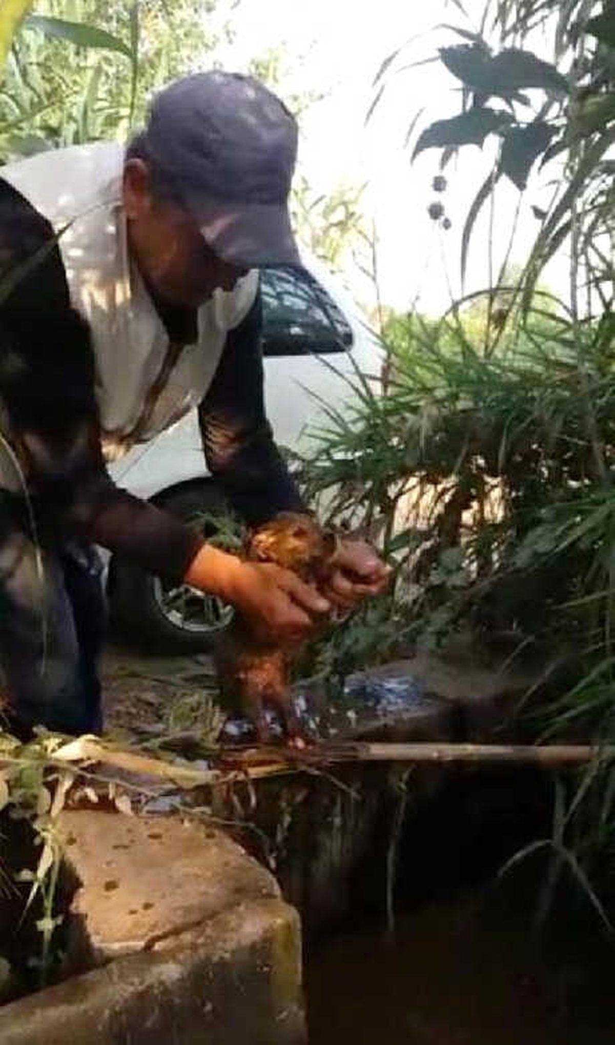 Kanalete Düşen Yavru Köpeği Kurtardı