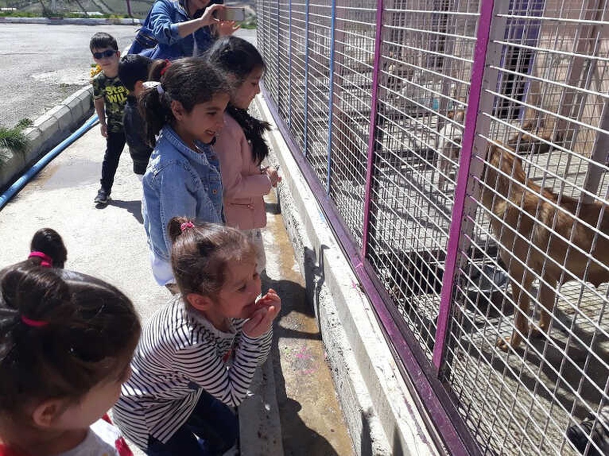 Minik Öğrencilerden Sevimli Patilere Ziyaret