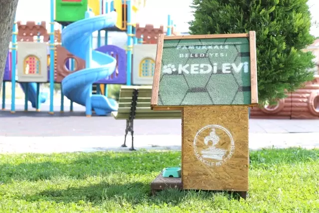 Pamukkale Belediyesi’nden Kedi Evi Projesi Son Dakika