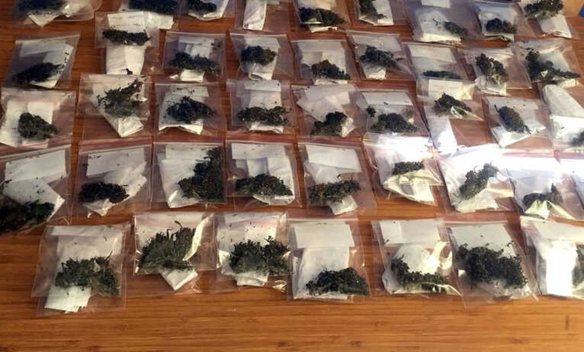 Samsun\'da Satışa Hazır Halde 43 Paket Esrar Maddesi Ele Geçirildi