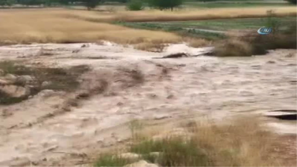 Sel Böyle Geldi... Şiddetli Yağmur Nohut Tarlalarını Çamur Deryasına Çevirdi