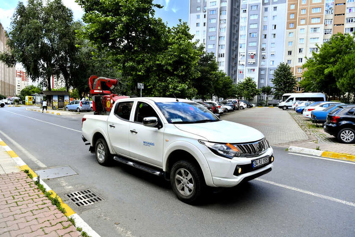 Sivrisinekler Yazın Sorun Olmayacak