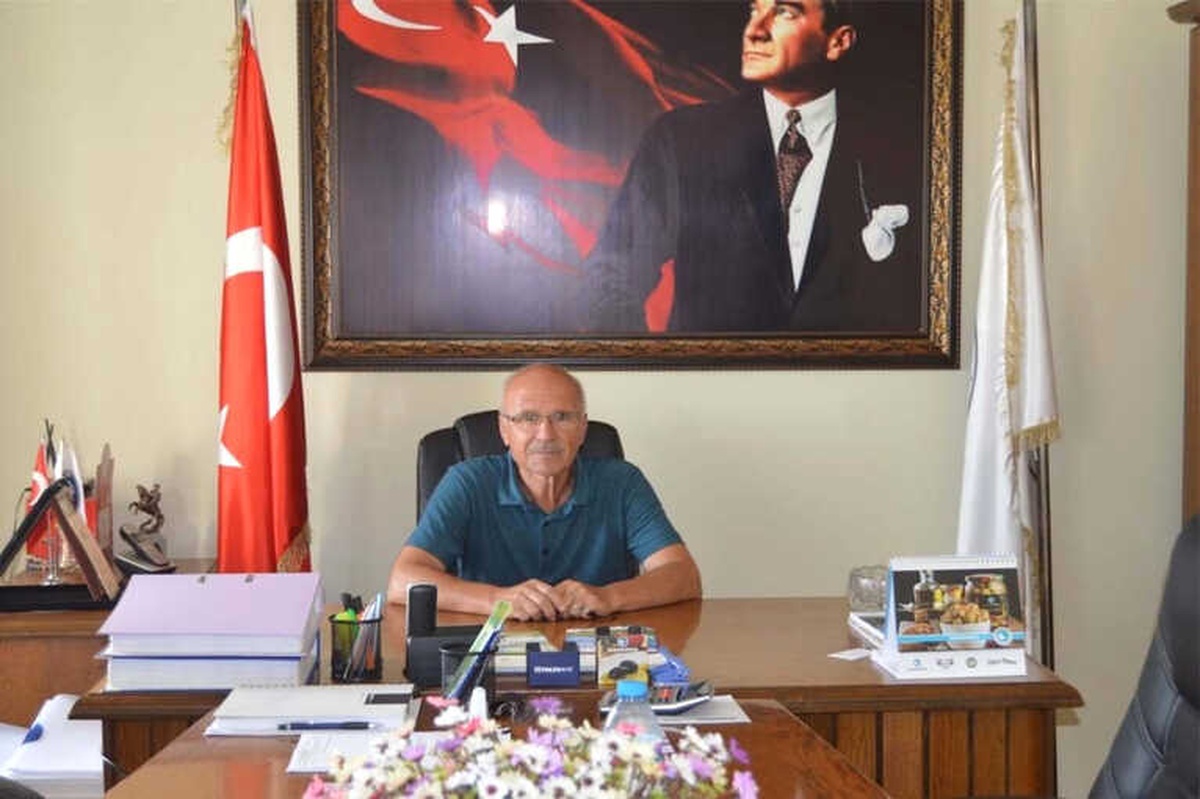 Yağışlar Zeytine Zarar Vermedi