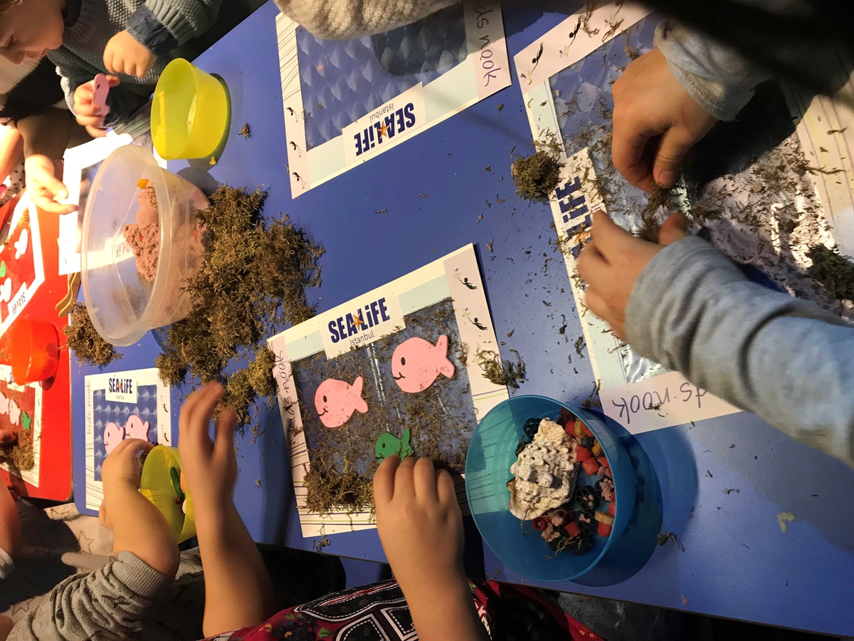 Yeni Yuvası SEA LIFE İstanbul\'da