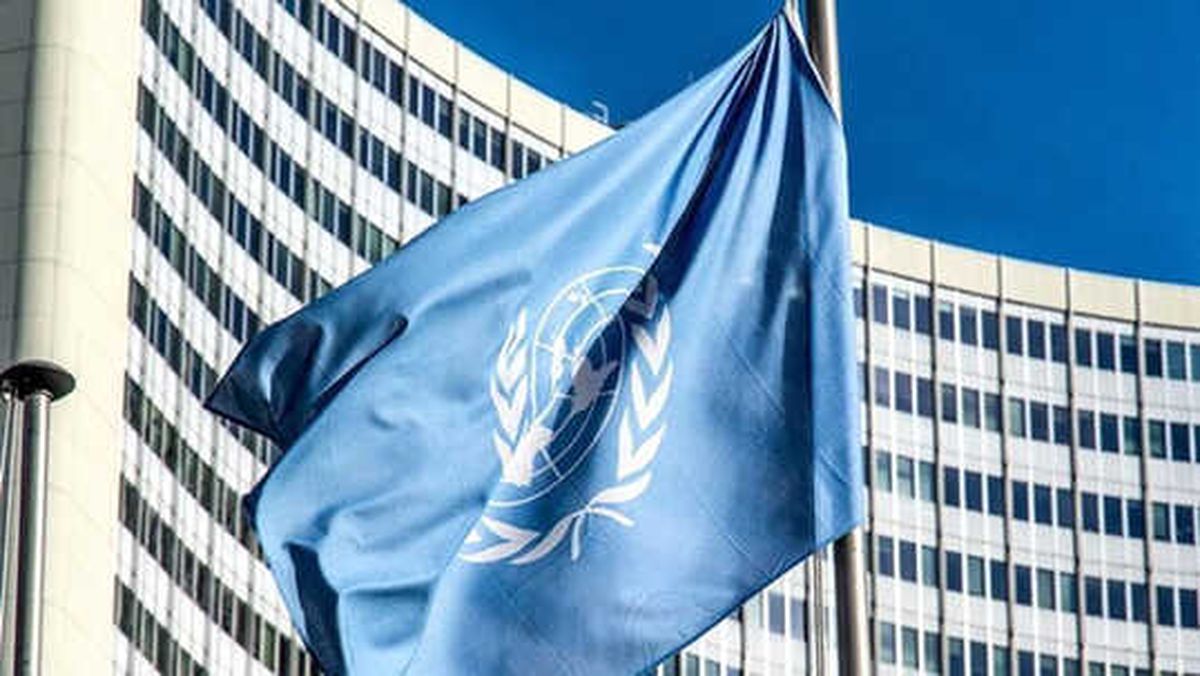 Alston: IMF\'nin Beyni Büyük Ama Vicdanı Ufacık