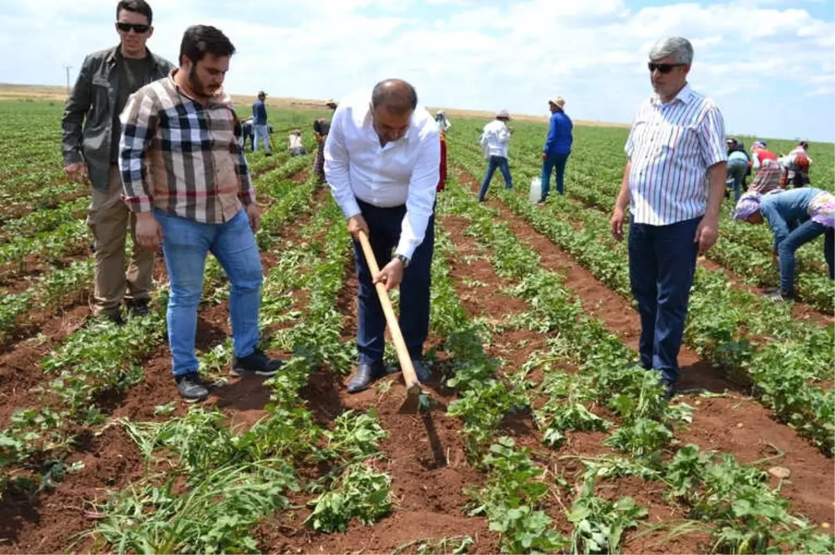 Atik: "25 Haziran\'da Aydınlık Bir Türkiye\'ye Uyanacağız"