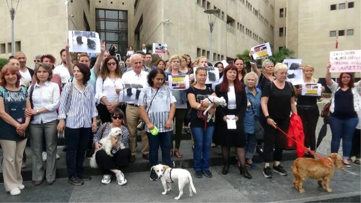 Avukat Babacan: Yavru Köpeğin Bakışlarını Hiç Unutmayacağız