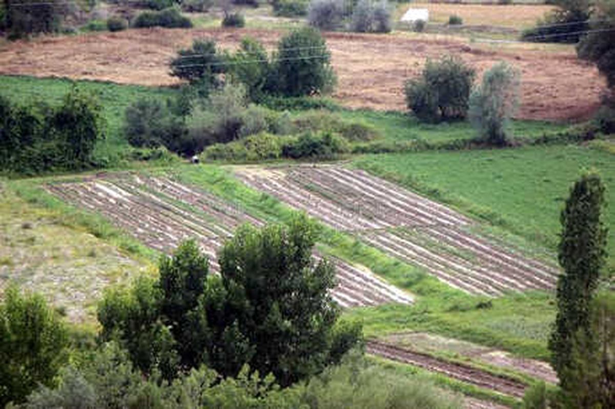 Bolu\'da Sağanak ve Dolu Tarım Arazilerine Zarar Verdi