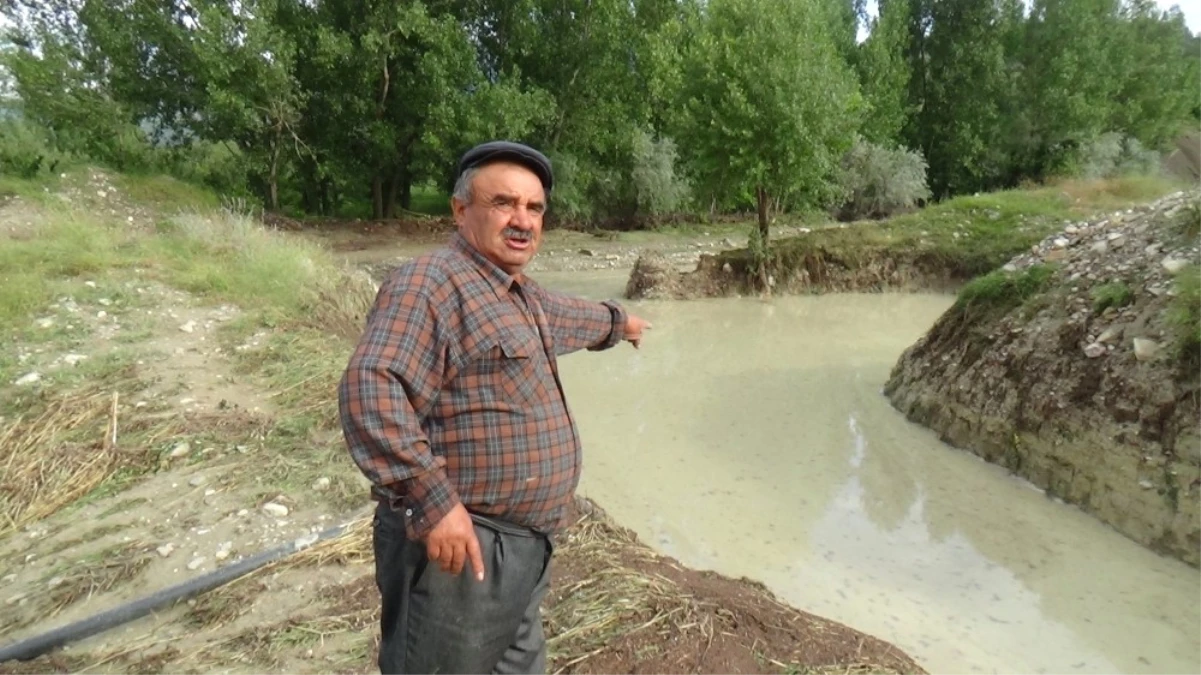 Bolu\'da, Şiddetli Yağmur ve Dolu Tarladaki Ürünlere Zarar Verdi