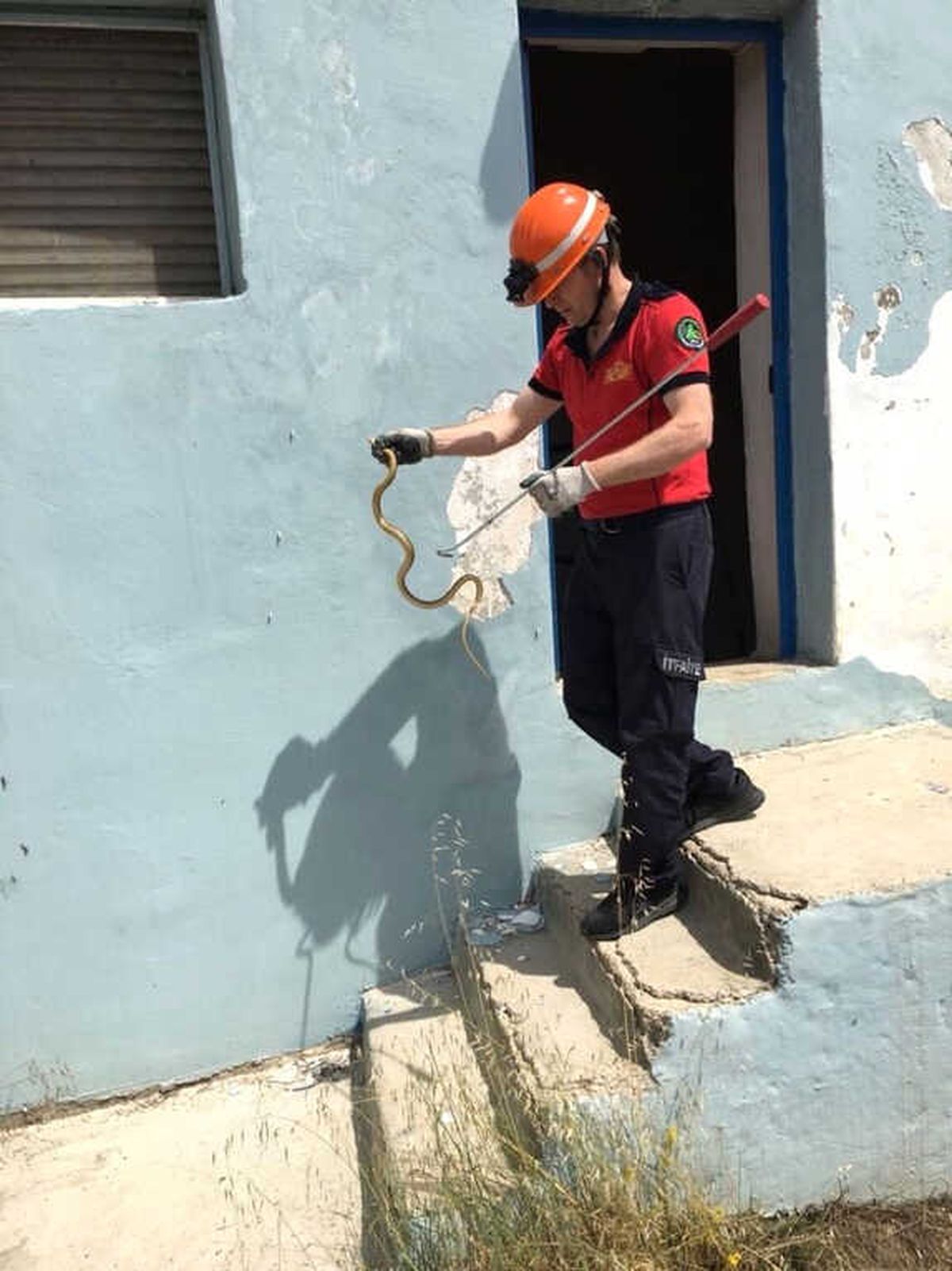 Bolu İtfaiyesinin Yılan Mesaisi Devam Ediyor