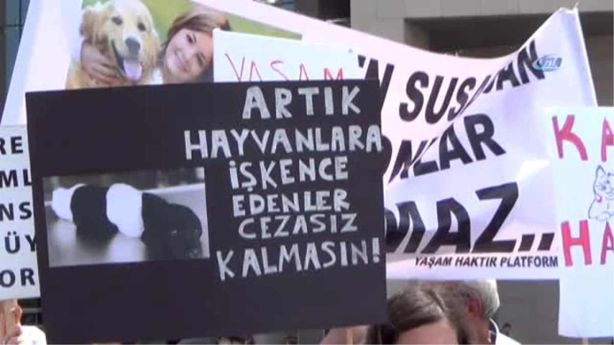 Hayvanseverlerden Sapanca\'daki Vahşete Suç Duyurusu