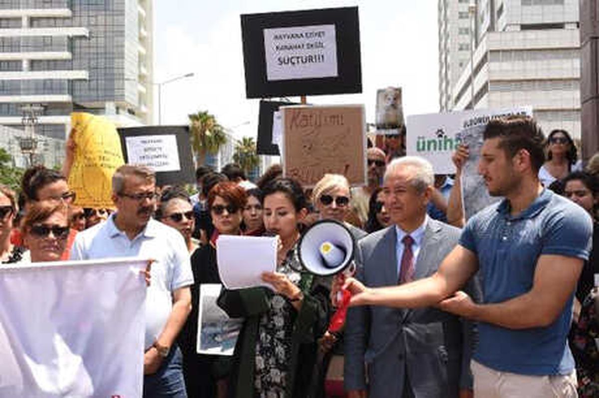 İzmir Barosu ve Hayvanseverlerden Hayvan Hakları Açıklaması
