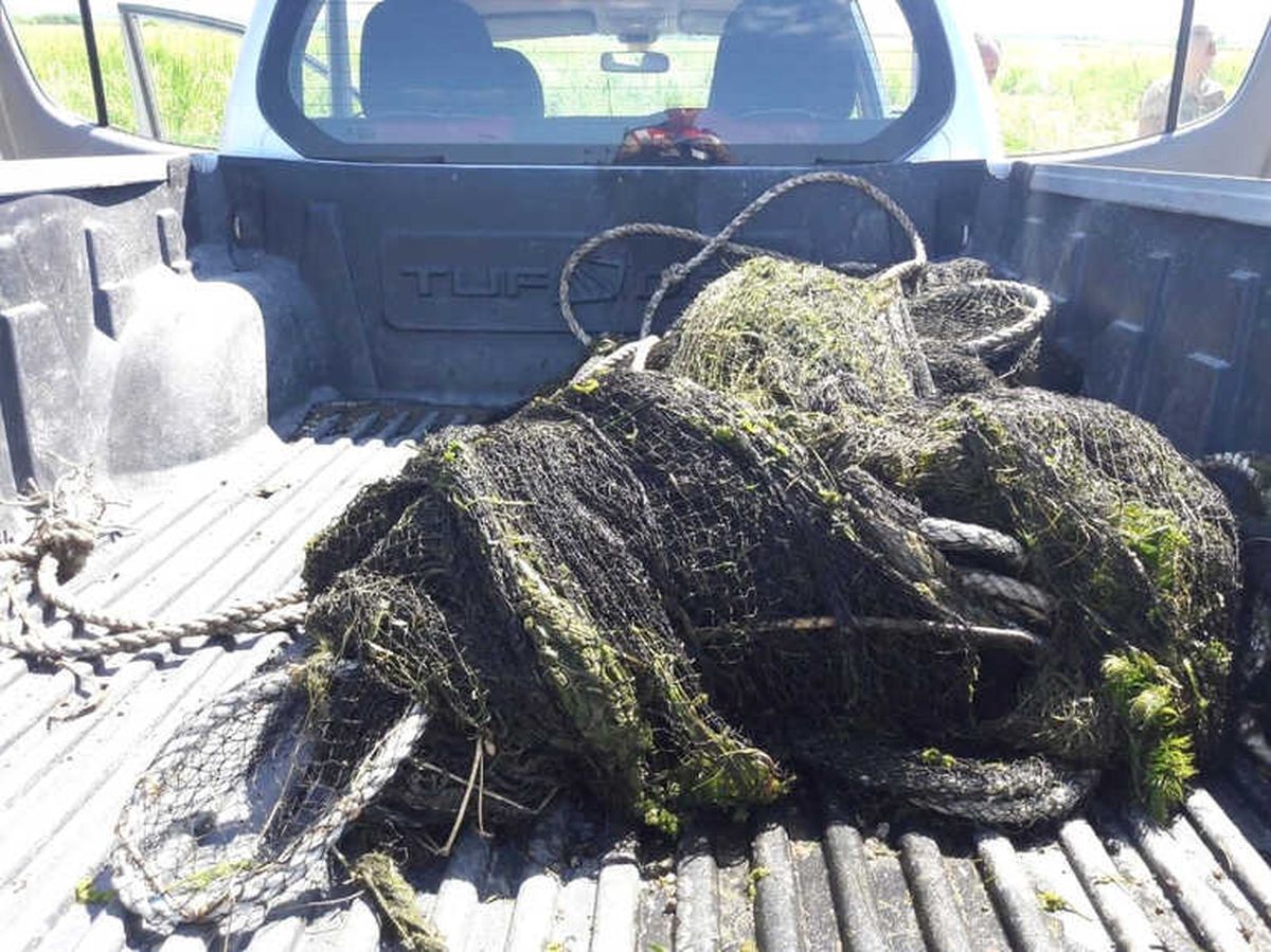 Jandarma, Bin 200 Kilo Canlı Balığı Göle Bıraktı