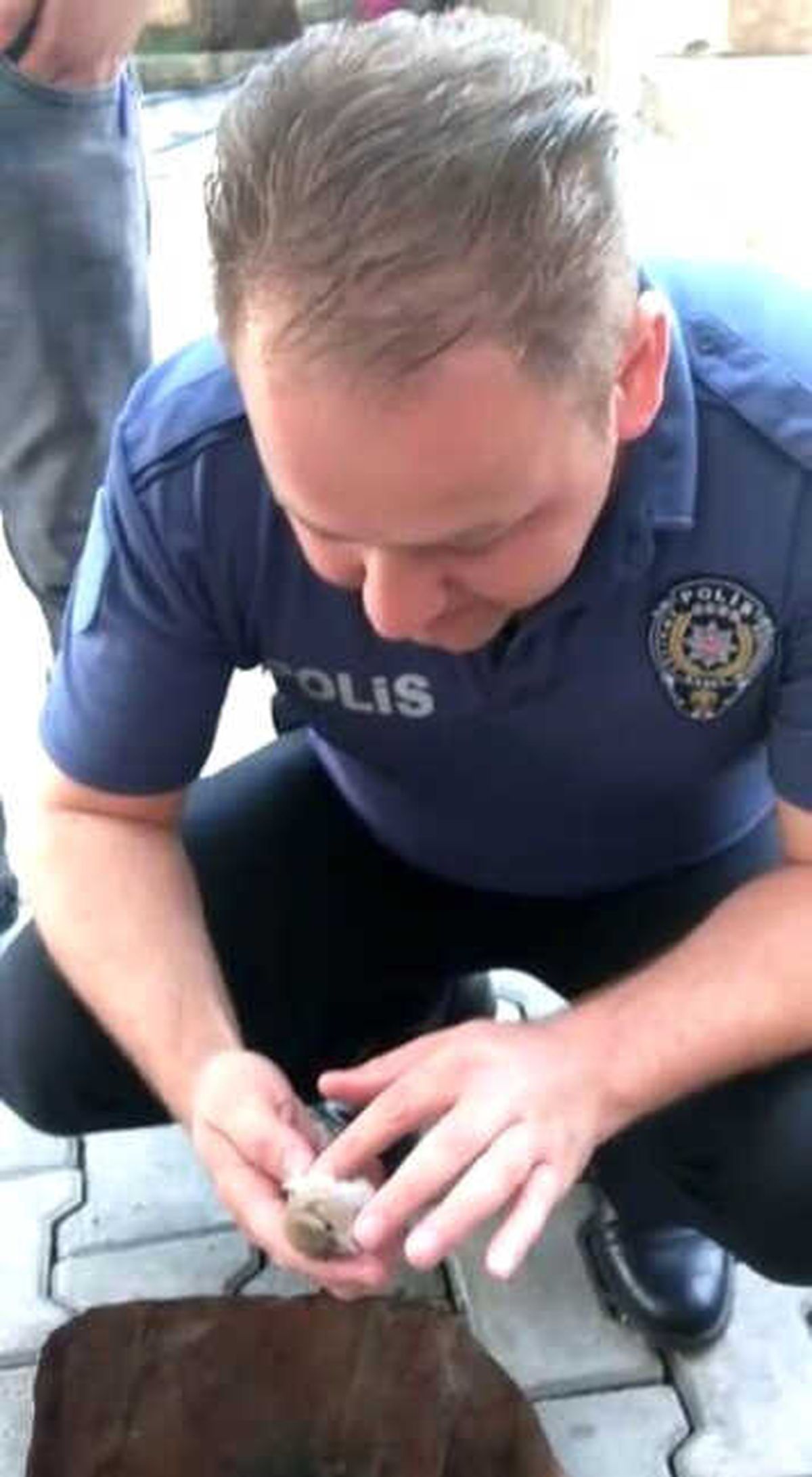 Polis Memurundan Kuşa Kalp Masajı