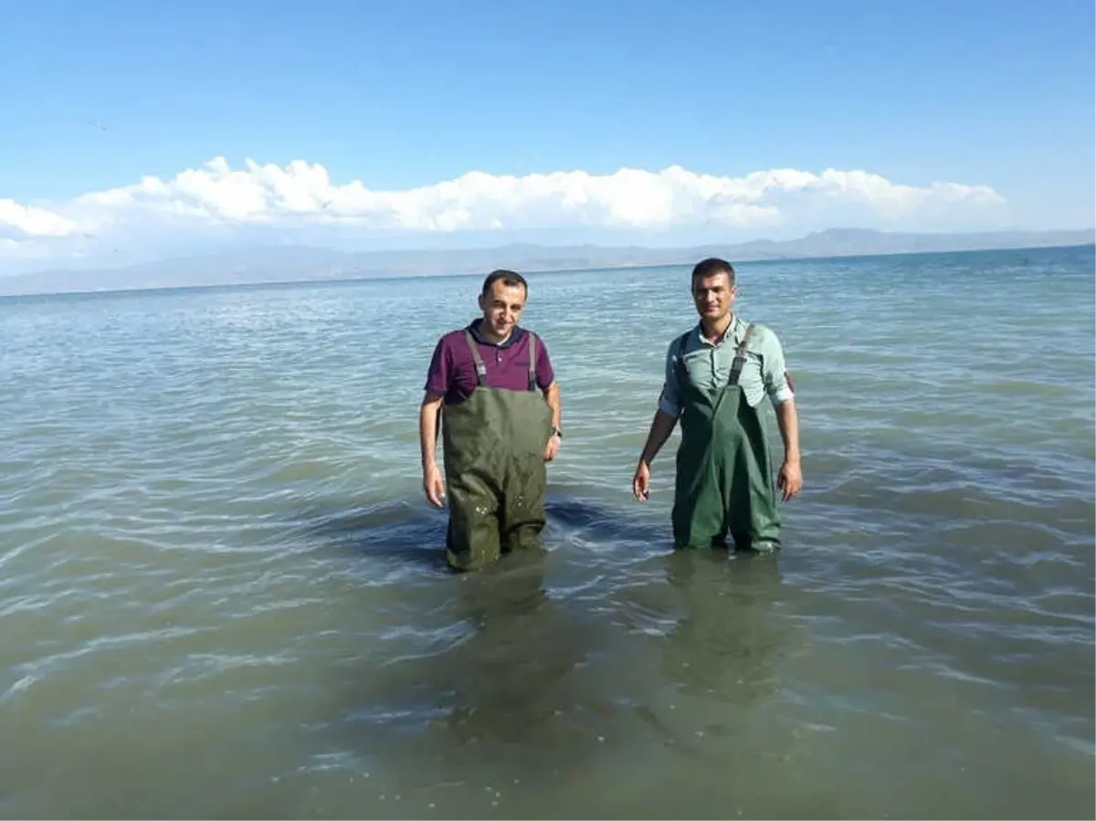 Van\'da 500 Kilogram Kaçak Avlanmış Balık Ele Geçirildi