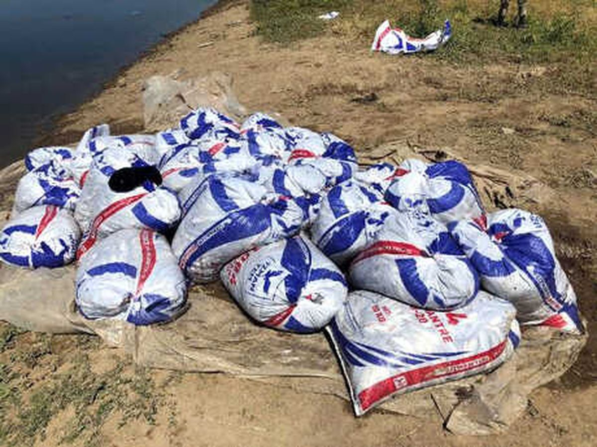 Van\'da Kaçak Avlanan 7 Ton 600 Kilo İnci Kefali Ele Geçirildi