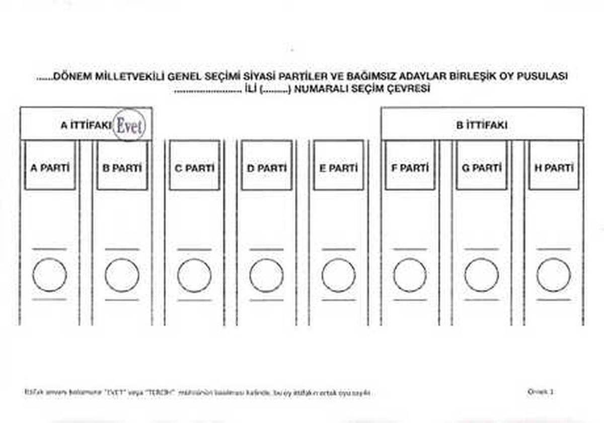 24 Haziran Seçiminde Seçmenin Dikkat Etmesi Gerekenler