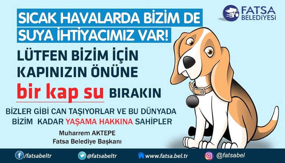 Başkan Aktepe\'den Sokak Hayvanları İçin \'Bir Kap Su\' Çağrısı