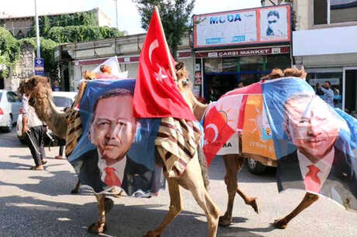 Develeriyle Dolaşıp, Erdoğan\'a Destek İstiyor