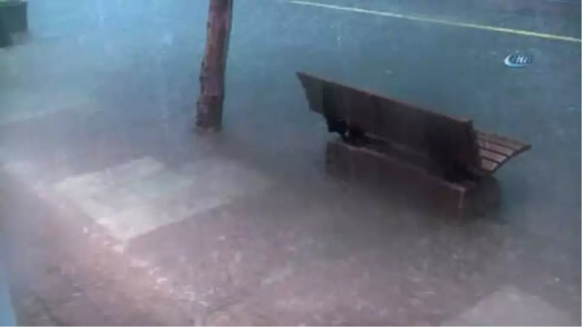 Eskişehir\'de Aniden Başlayan Yağmur Hayatı Felç Etti