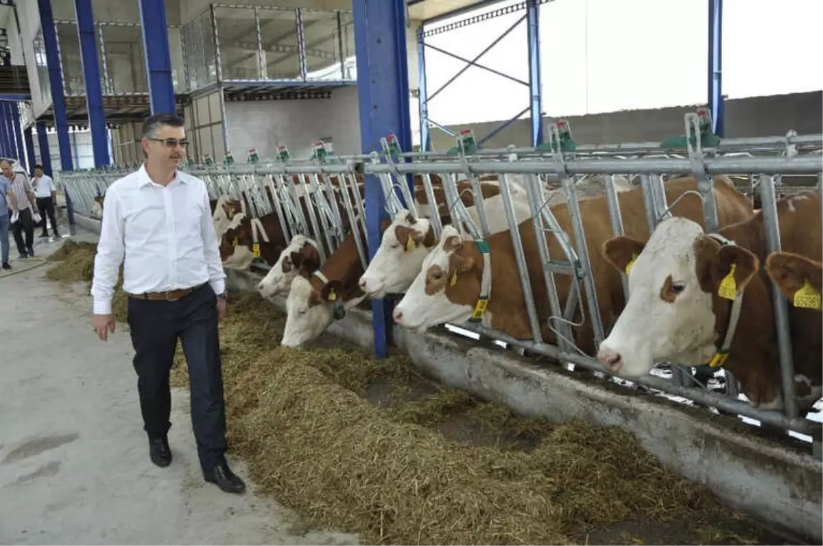 Eskişehir\'e Modern Süt Tesisleri Kuruluyor