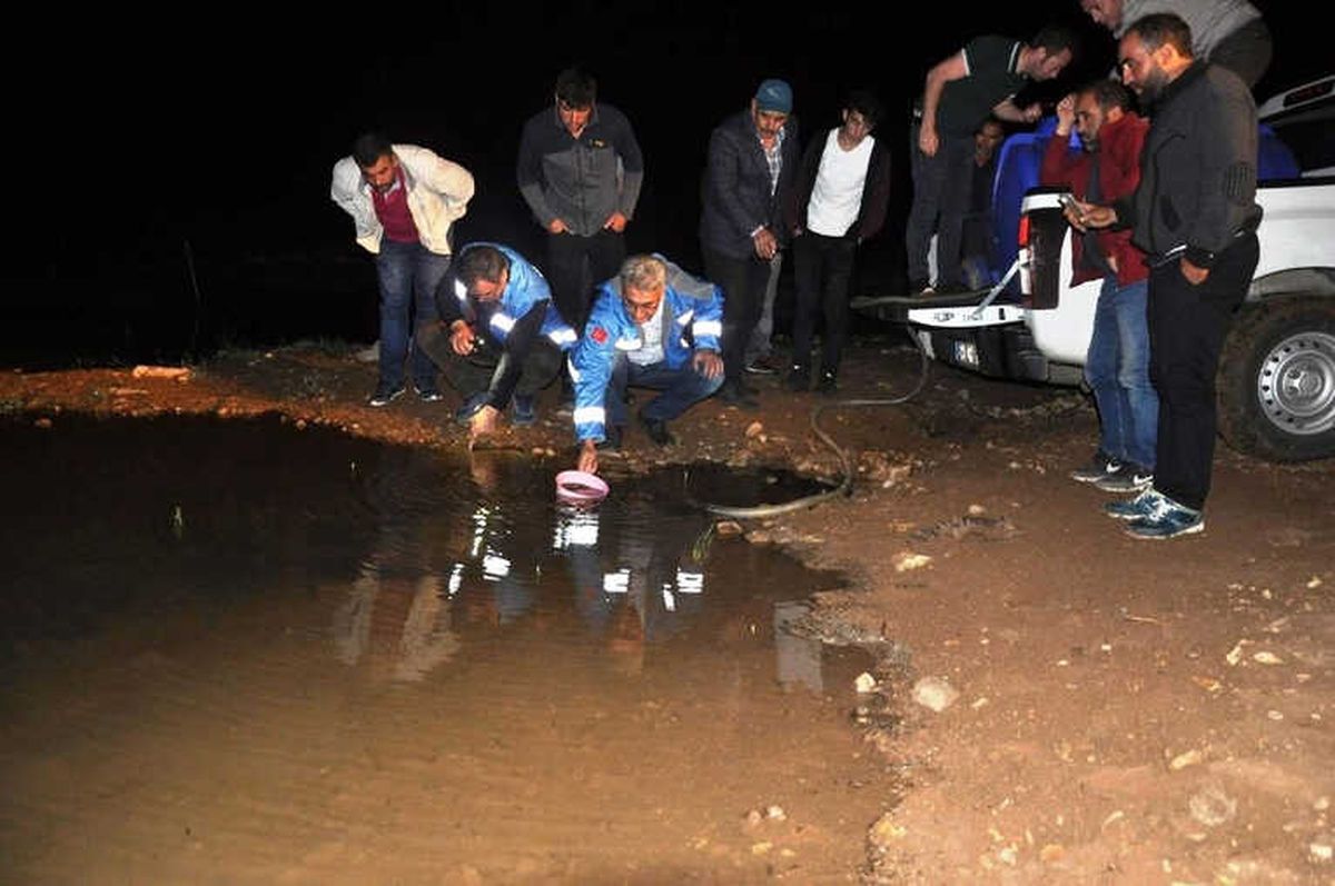 Gümüşhane\'de Göletlere 50 Bin Sazan Yavrusu Bırakıldı