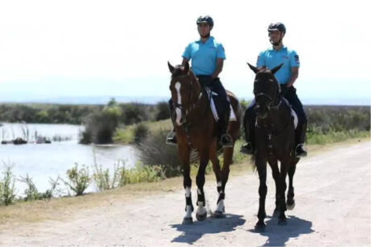 Kızılırmak Deltası\'nı, Atlı Jandarma Timi Koruyor