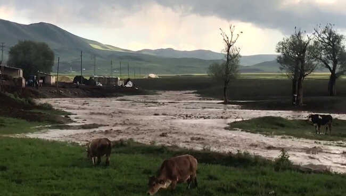 Köy İçerisinden Geçen Dere Taştı Ekili Araziler Su Altında Kaldı