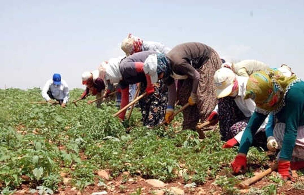 Köylerde Birlikte Üretime İlave Destek