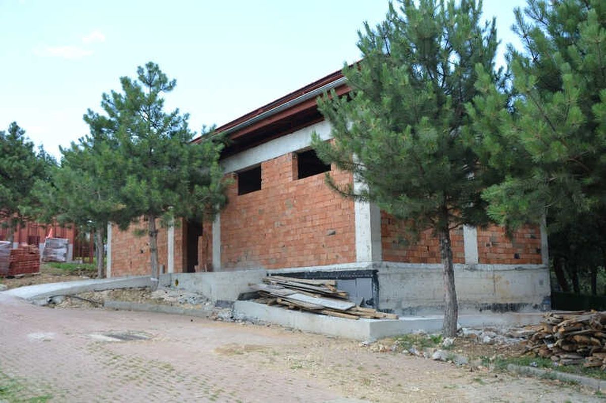Türkiye\'de İlk Kedi Tedavi Ünitesi Bursa\'da Açılıyor