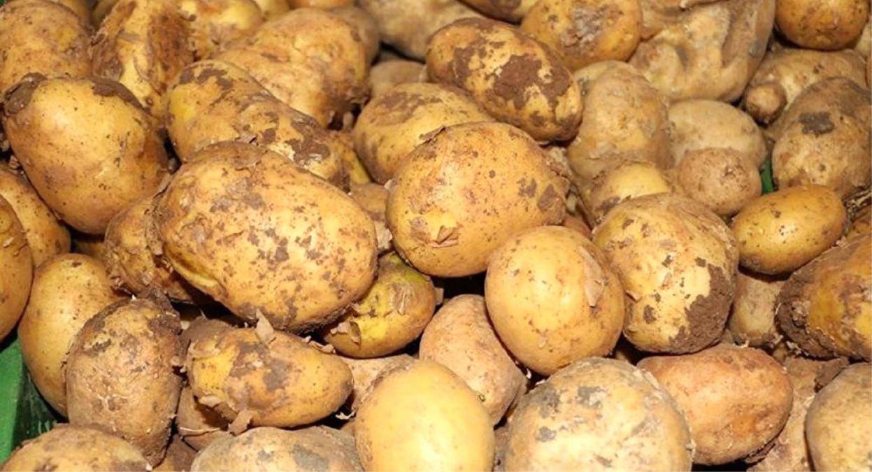Bakan Fakıbaba\'dan Patates Çıkışı: 50 Kuruşluk Ürünü 6 TL\'ye Yedirenden Hesap Soracağız