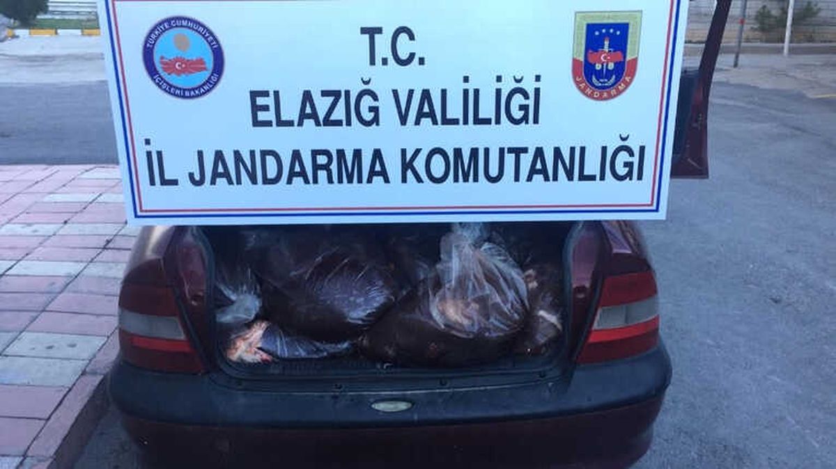 Elazığ\'da 500 Kilo Kaçak Sakatat Ele Geçirildi