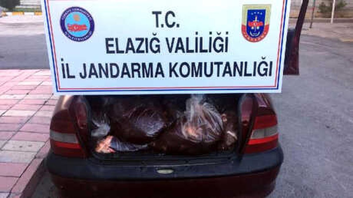 Elazığ\'da 500 Kilo Kaçak Sakatat Ele Geçirildi