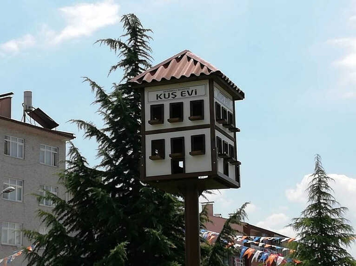 Safranbolu Evi Tarzında Kuş Yuvası
