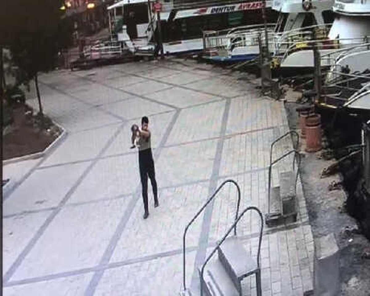 Üsküdar\'da Vahşet Kamerada... Kediyi Önce Sevdi Sonra Denize Attı