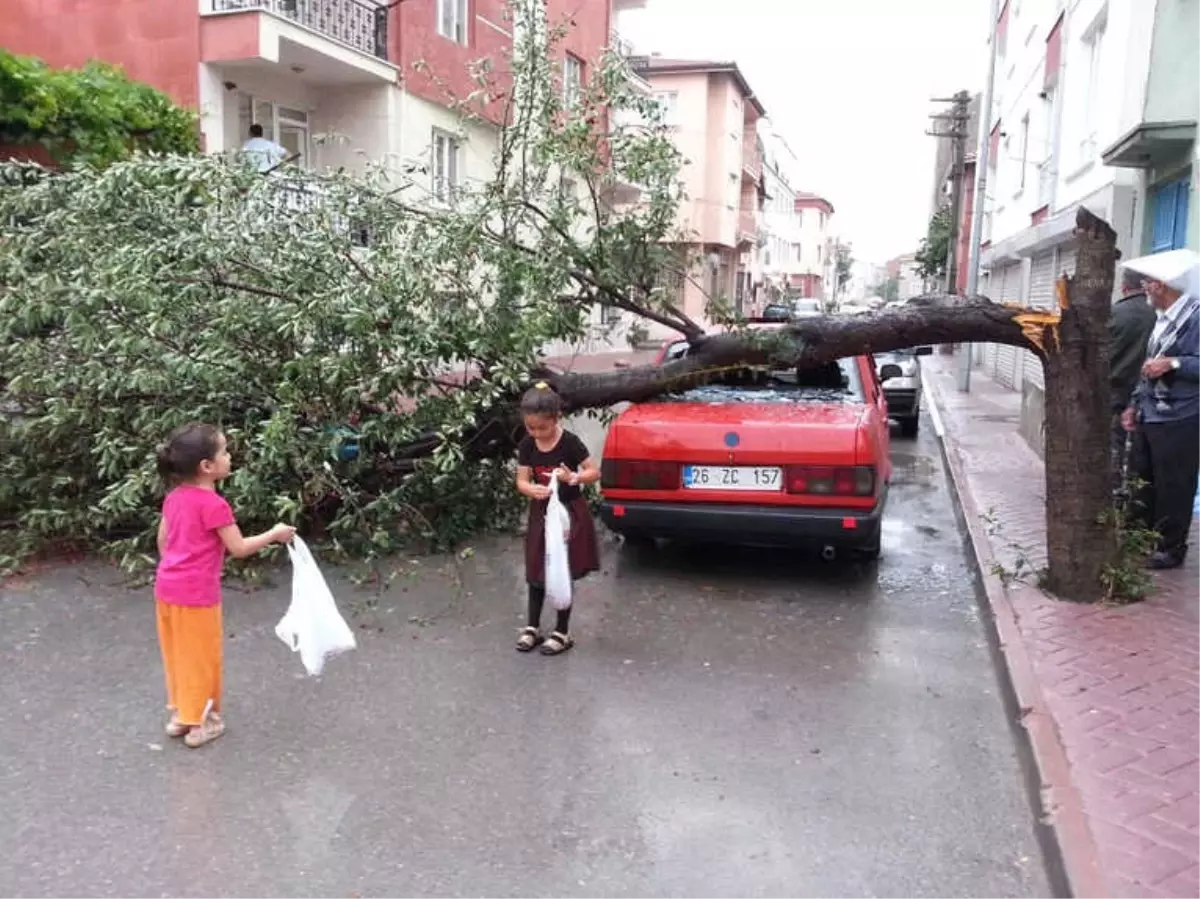 Aşırı Yağış ve Rüzgar Ağacı Otomobilin Üstüne Devirdi