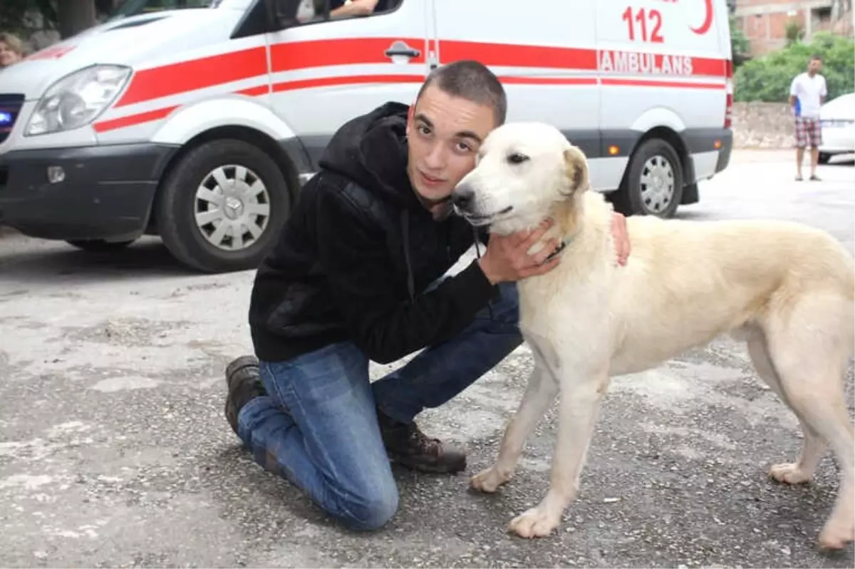 Köpeğini Kurtarmak İsterken Mahsur Kaldı